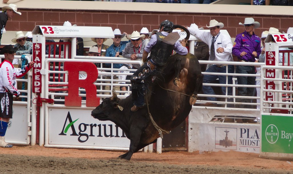 Calgary Stampede-2298.jpg